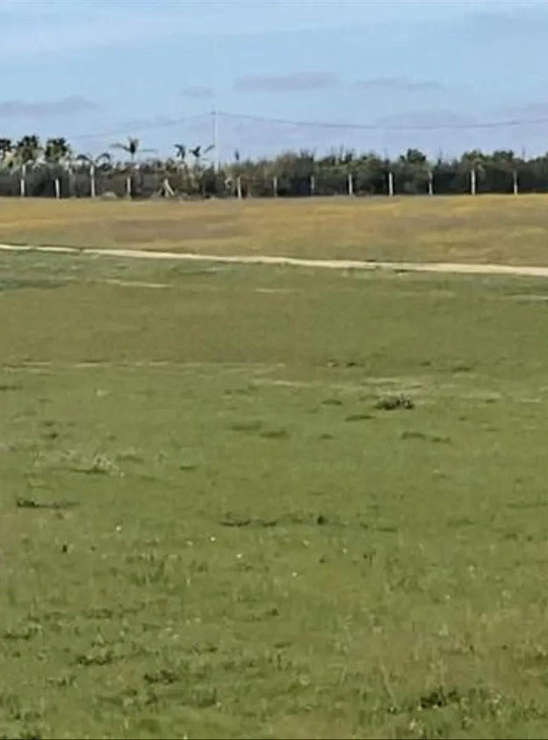 Fermes et terrains agricoles titrés à proximité d'Azemmour