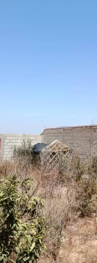 Terrain titré à vendre d'une superficie de 445 m²