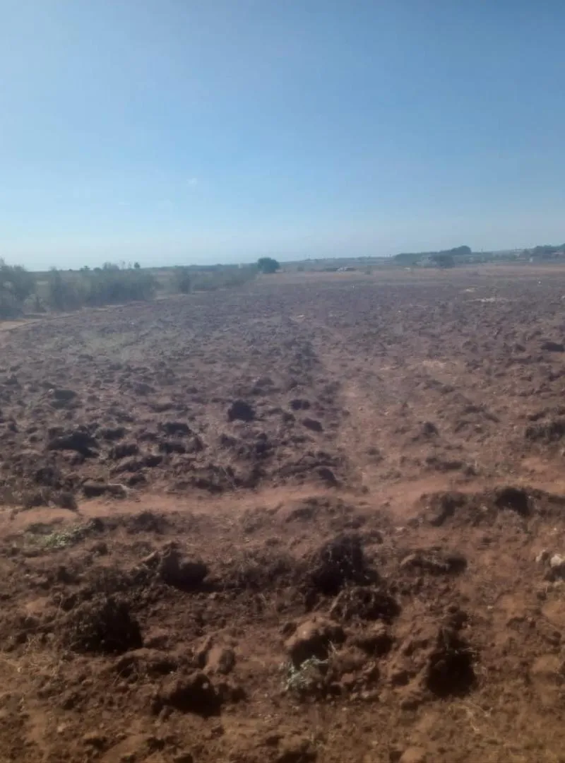 TERRAIN AGRICOLE TITRÉ 4 HA ROUTE AZEMMOUR/EL JADIDA