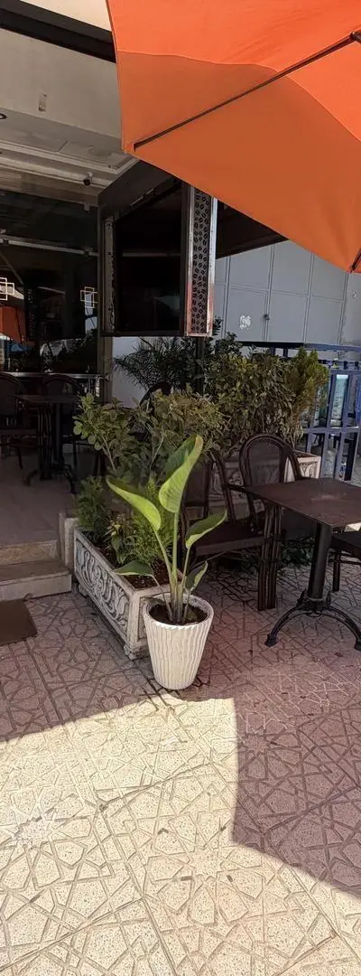 Café à vendre Sarout à Tiflet Loyer 3000 dirhams