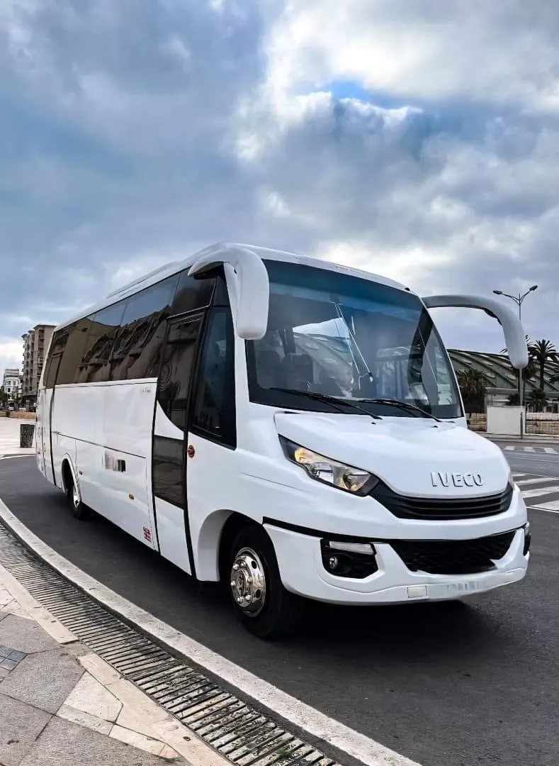 Iveco 2017 à vendre