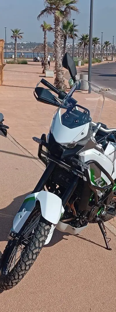 Kawasaki kle se
