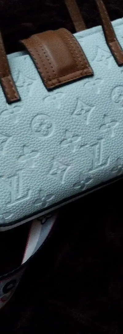 Sac Coach Louis Vuitton