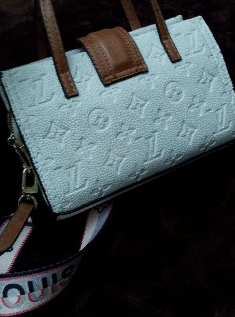 Sac Coach Louis Vuitton