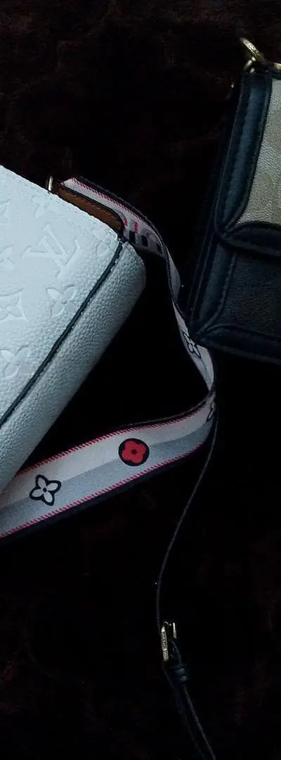 Sac Coach Louis Vuitton