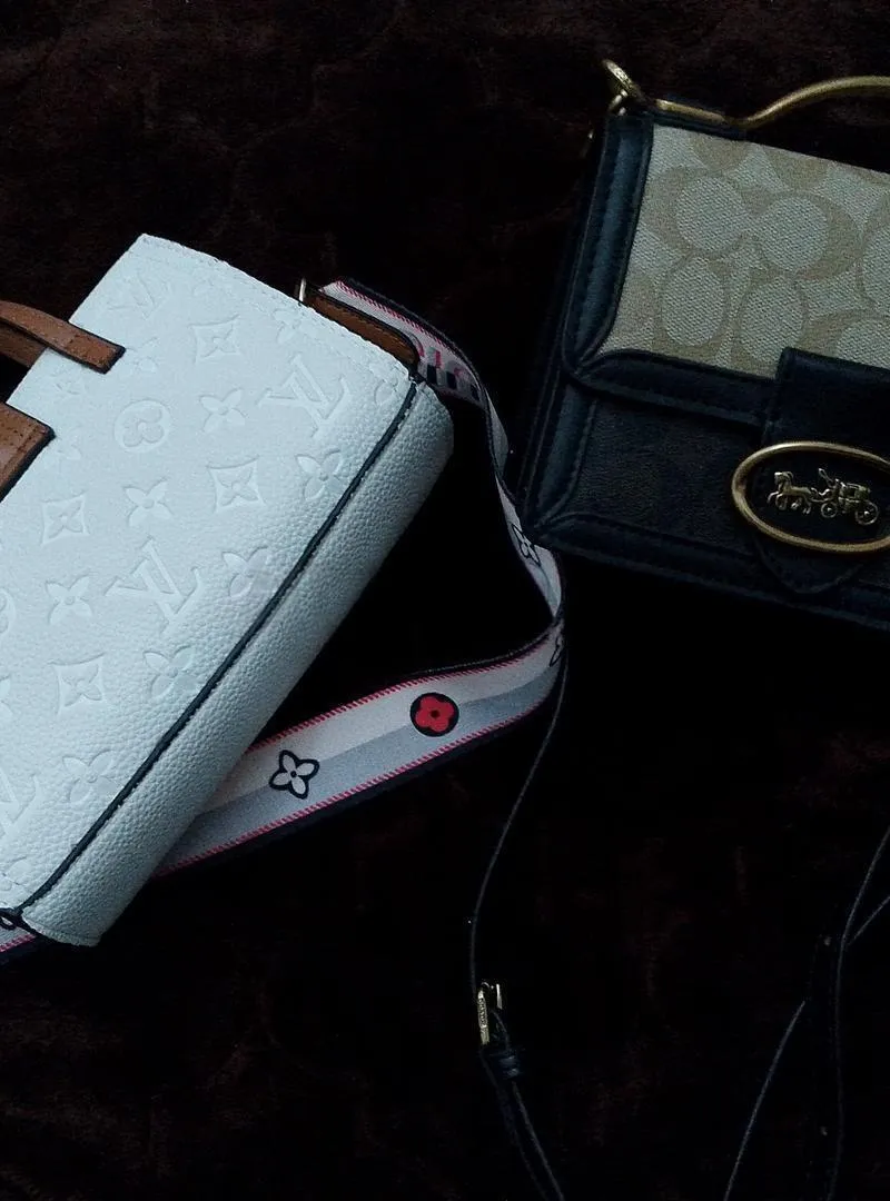 Sac Coach Louis Vuitton