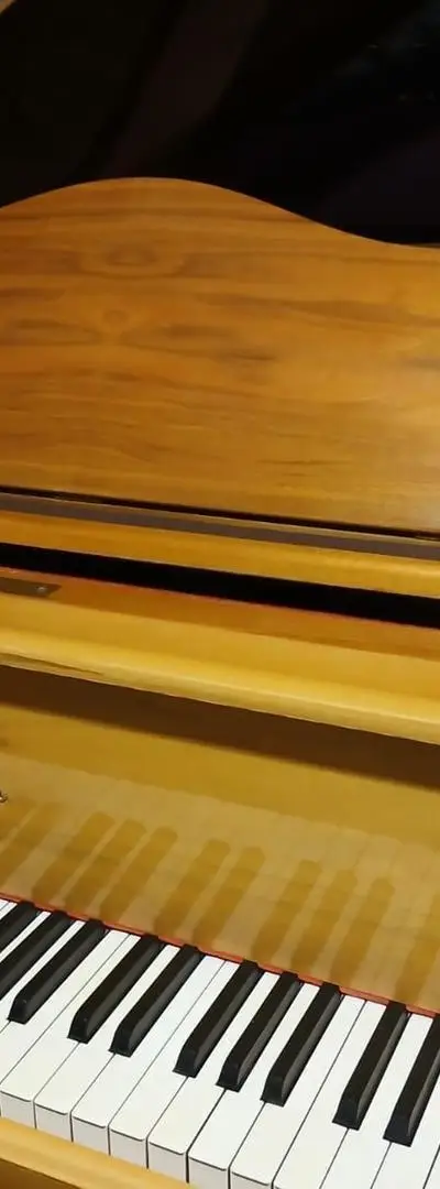 Piano à queue Sauter