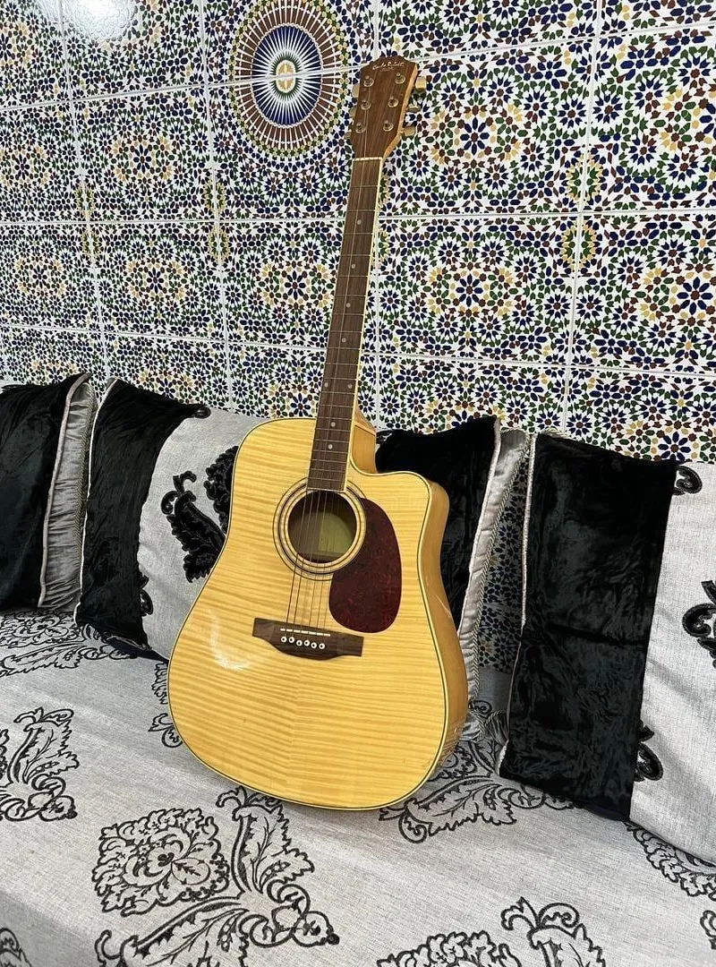 Guitare acoustique avec pan coupé