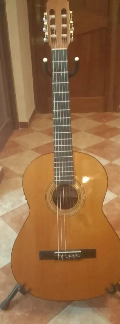 Guitare espagnole électro