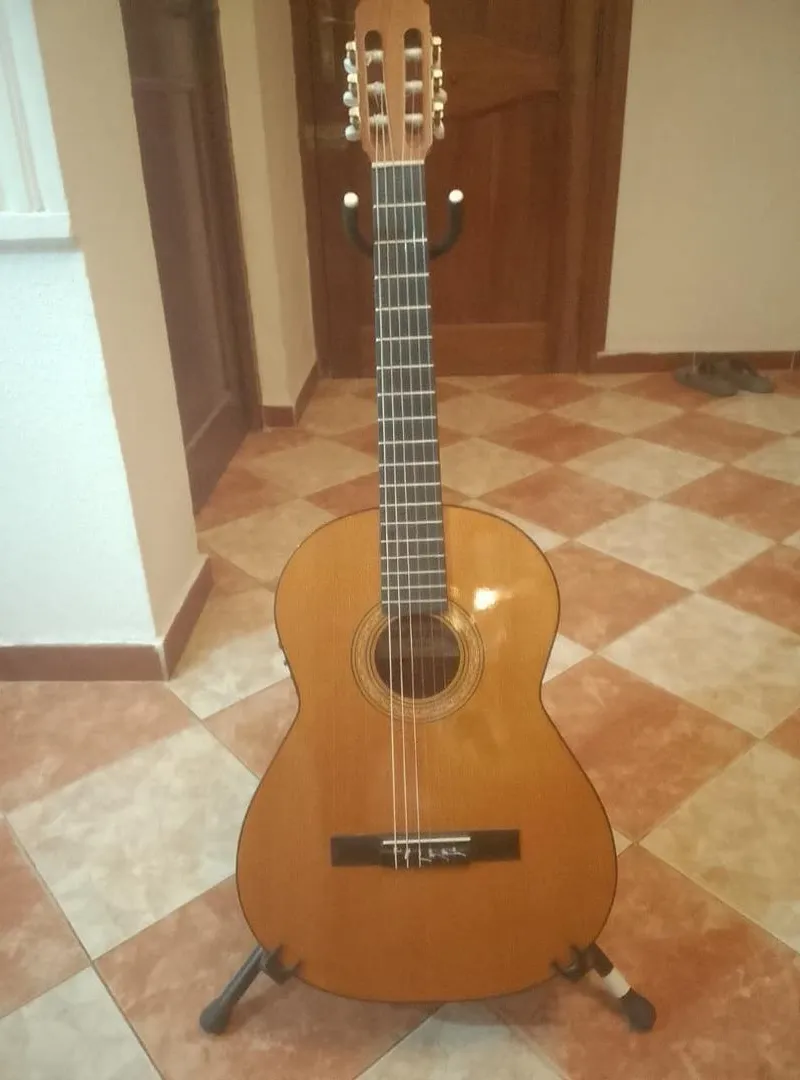 Guitare espagnole électro