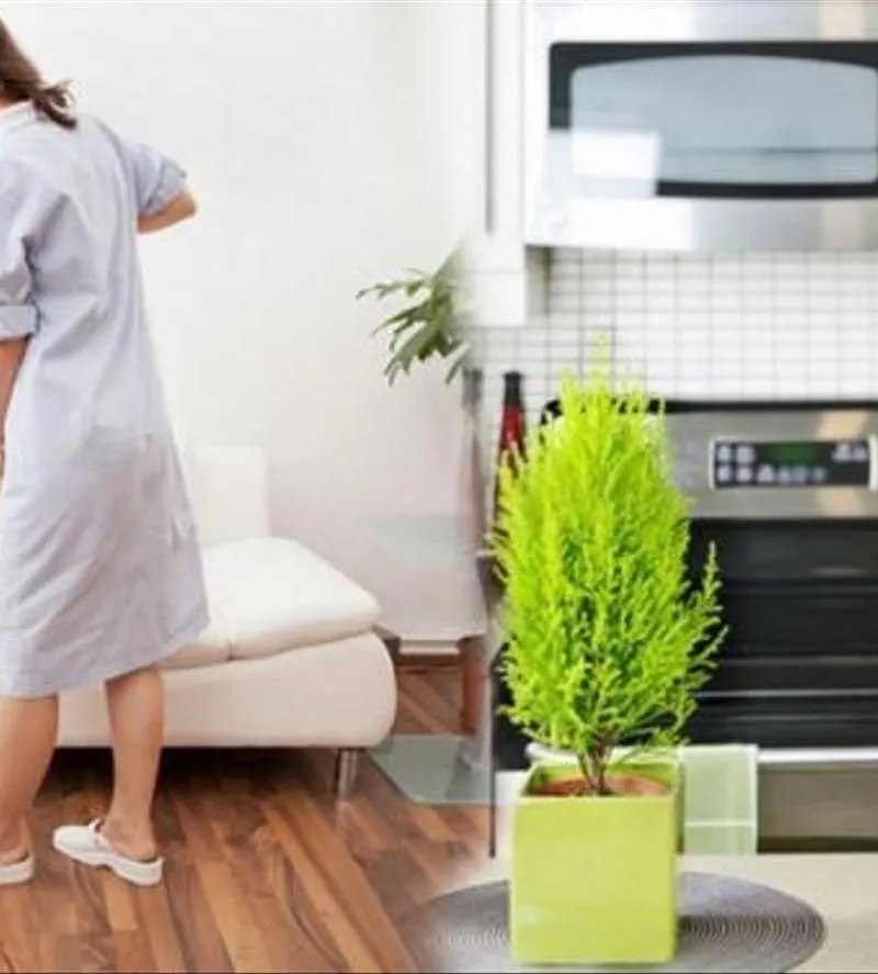 NOUNOU / Ménage / Aide Cuisine