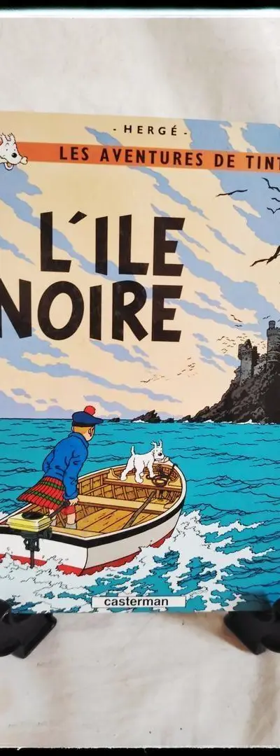 Amateurs de bandes dessinées en français