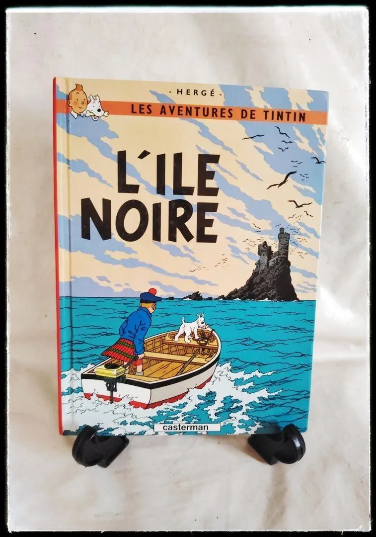 Amateurs de bandes dessinées en français