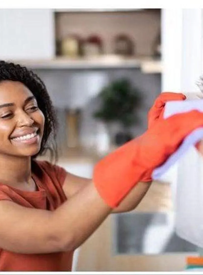 Femme de ménage et cuisine nounou