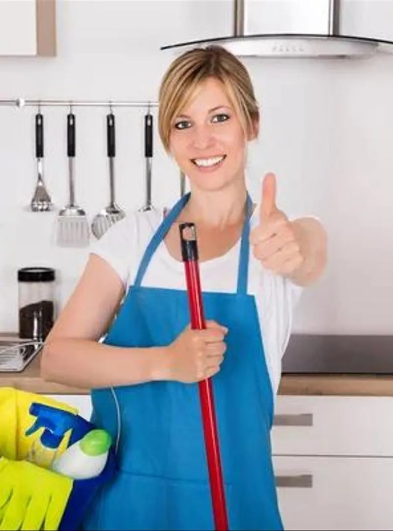 femme de ménage cuisinière nounou