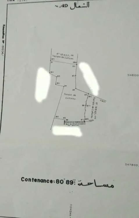 Terrain de 8089 m² avec vue mer