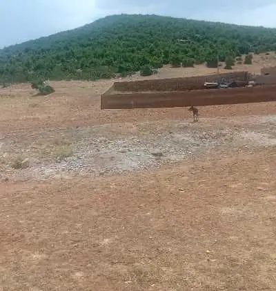 Terrain Titré constructible 213m2 Imouzzer Kandar