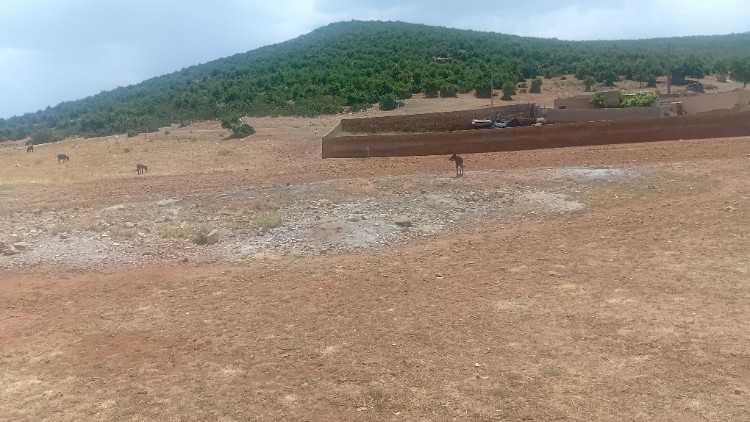 Terrain Titré constructible 213m2 Imouzzer Kandar