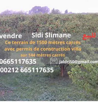 Terrain agricole
