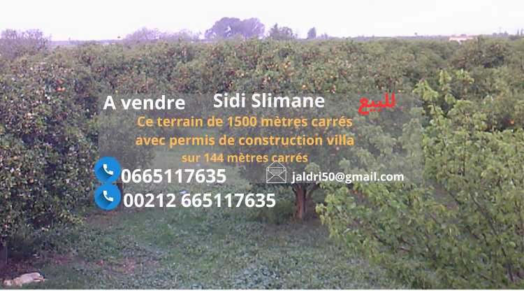 Terrain agricole