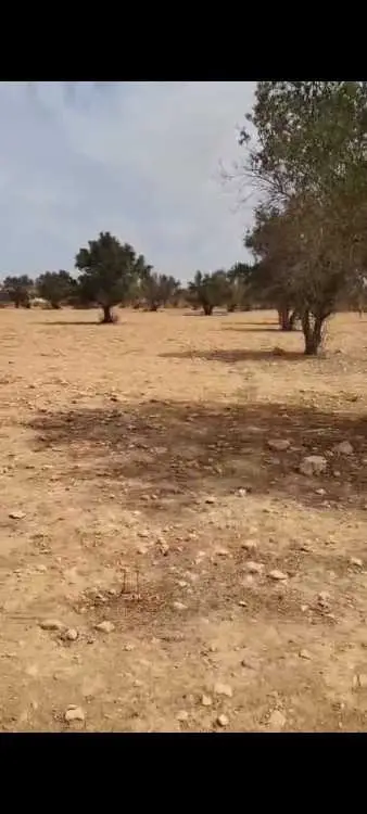 Terrain Agricole