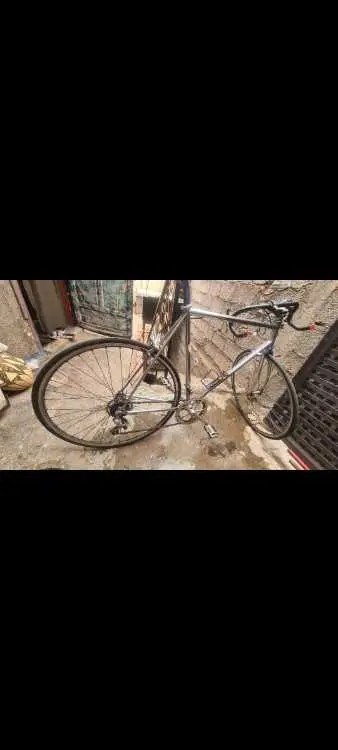 Bicyclette course original made in italy mark dog