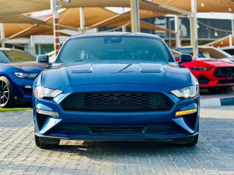 Calandre mustang