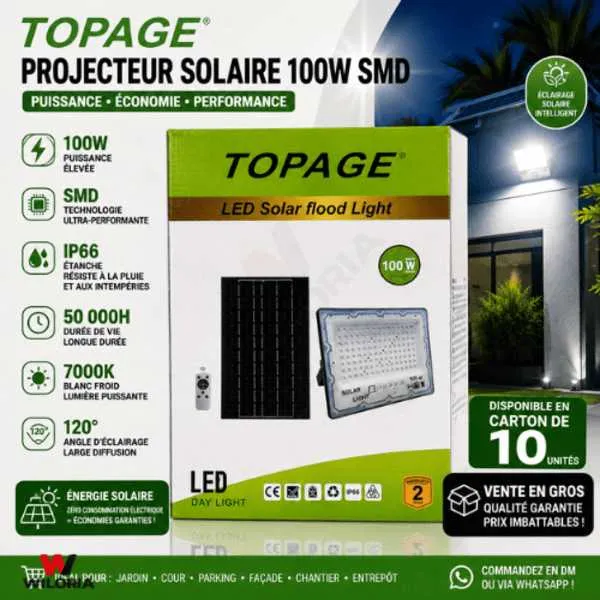 Projecteur Solaire 100W