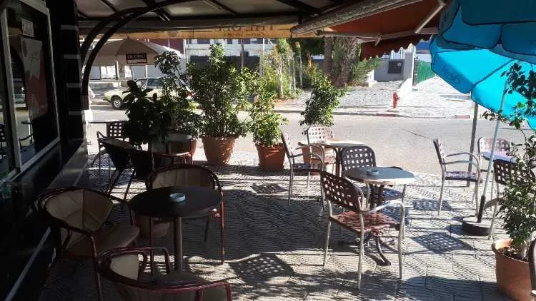 Plante a vendre