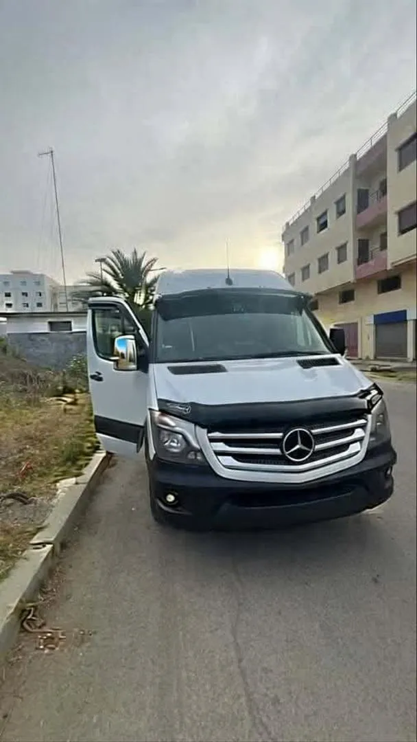 Mercedes Sprinter transport mixte à vendre