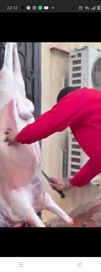 Boucher mobile à Mohammedia