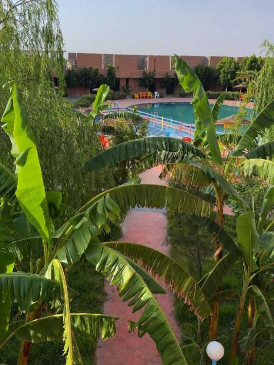 Piscine مسبح تميلال