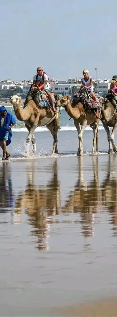 بحت عن عمل في مجال الحراسة او آخر 