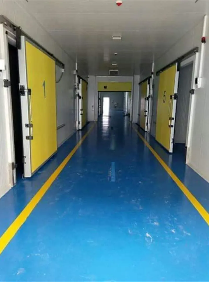 Chambre froide et entrepôt frigorifique