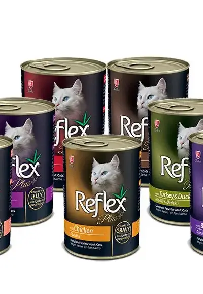 pâté reflex plus pour chat