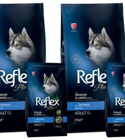 Reflex plus pour chiens
