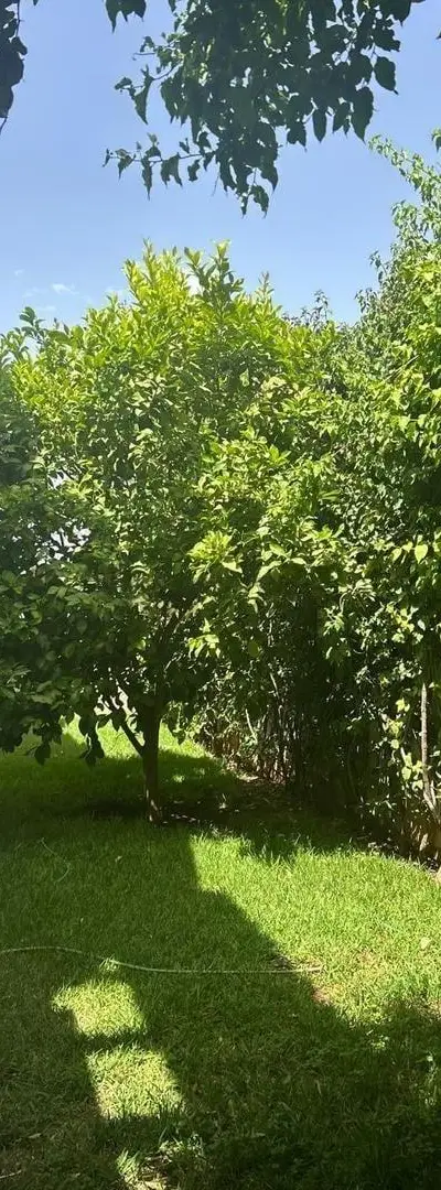 Villa haut standing