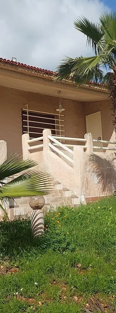 Ferme 2ha titre kamouni