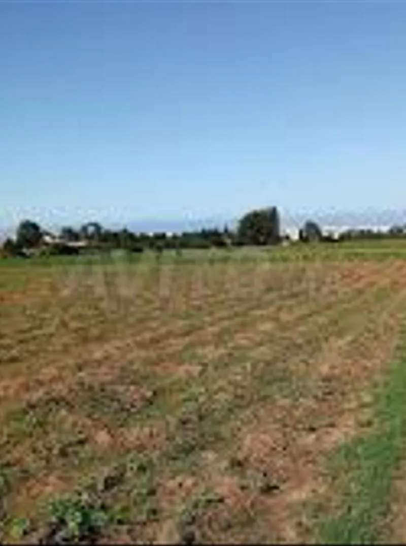 Vente de terrains & fermes titrés – Bir Jdid