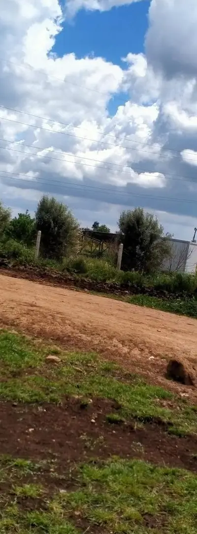 A vendre une ferme de 15 hectares