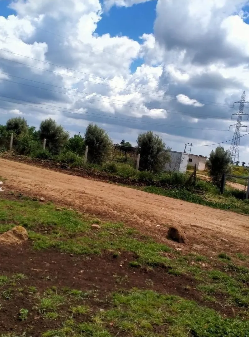 A vendre une ferme de 15 hectares