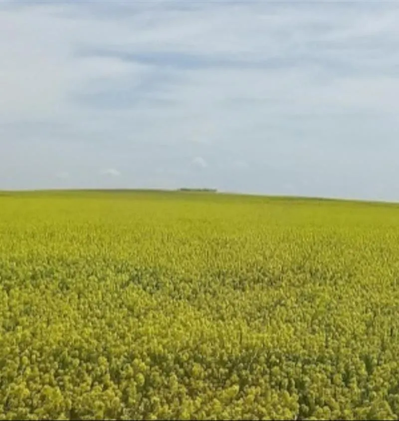 Terrain de 1.5 hectares situé à 10km de Berrechid