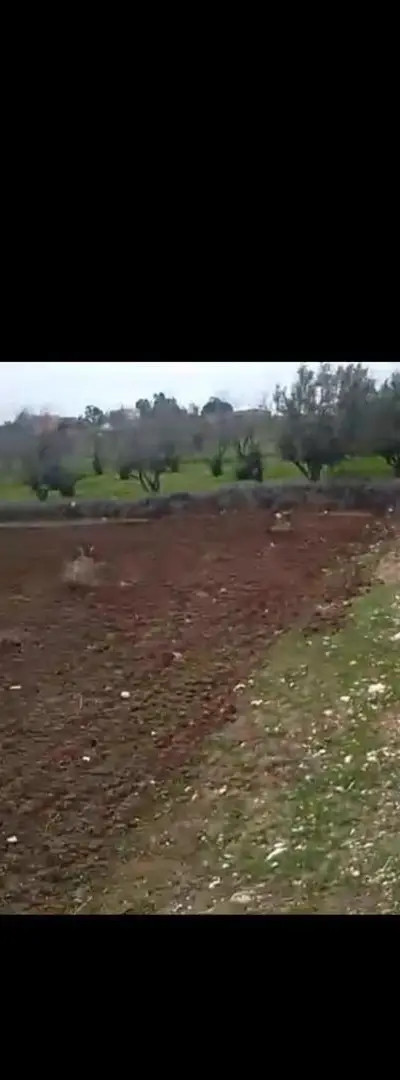 Un terrain sur la route Meskala Lkrimat
