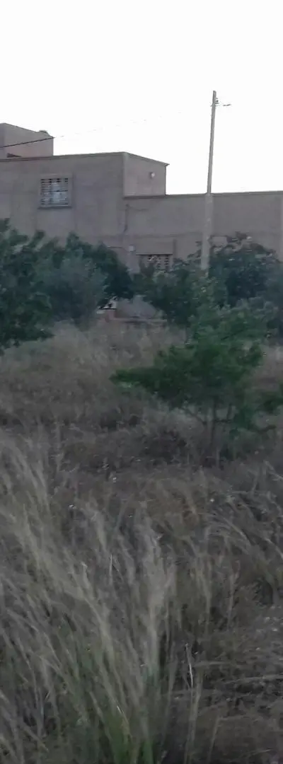 Terres agricoles à Sidi Moussa