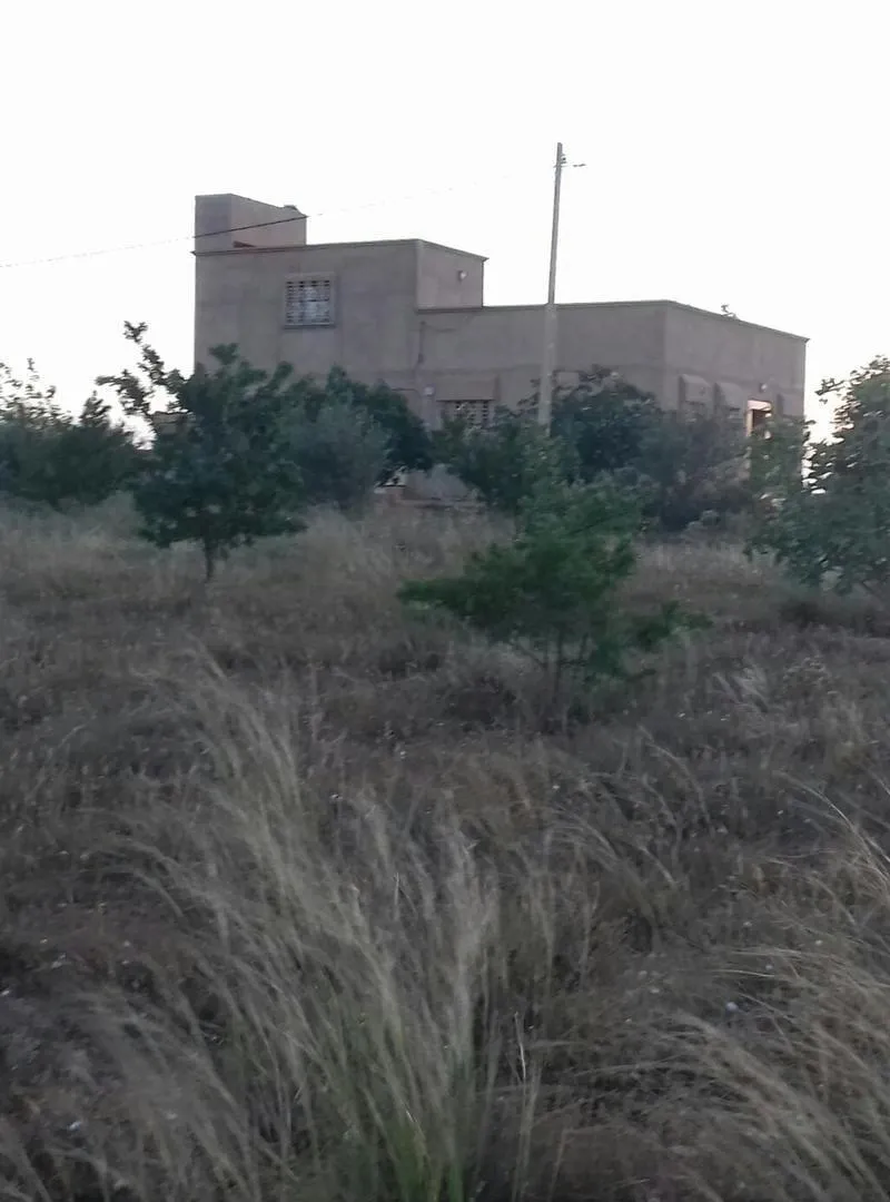 Terres agricoles à Sidi Moussa