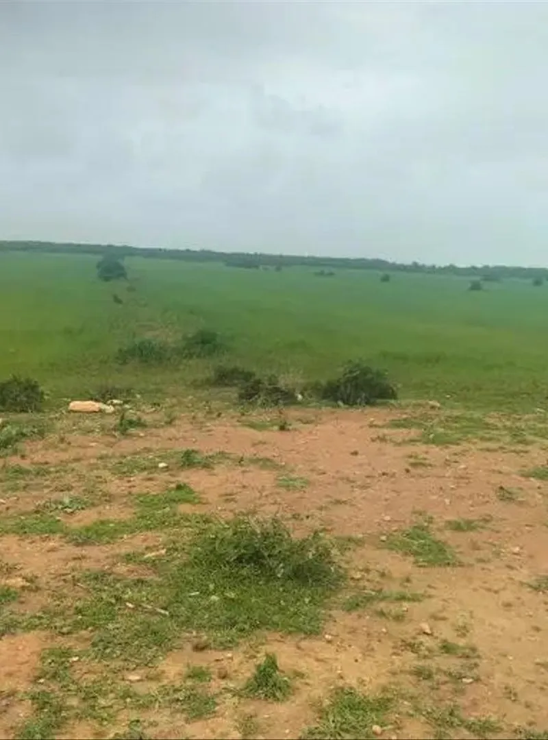 Terrain à vendre superficie 19 hectares