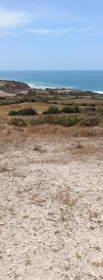Terrain à vendre près d'Essaouira
