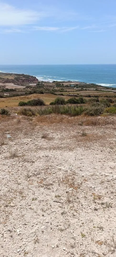 Terrain à vendre près d'Essaouira