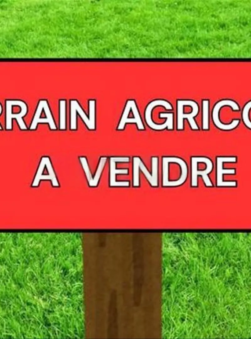 74 HECTARES A VENDRE