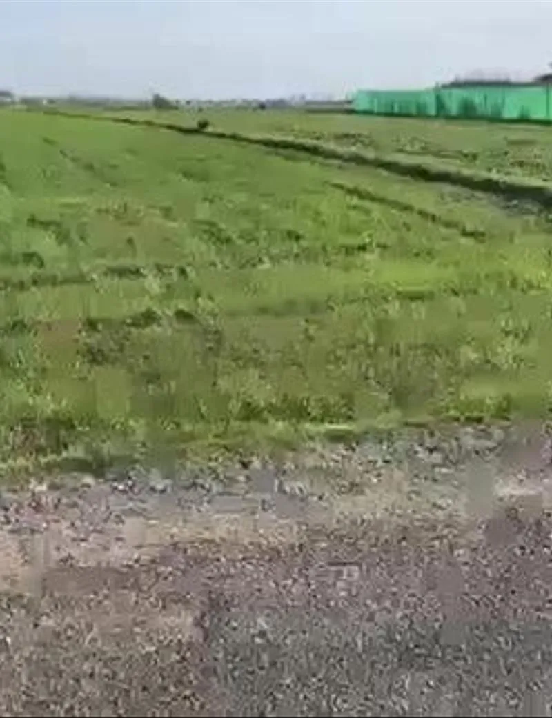 Terrains agricoles et résidentiels titrés dans la région de Bir Jdid